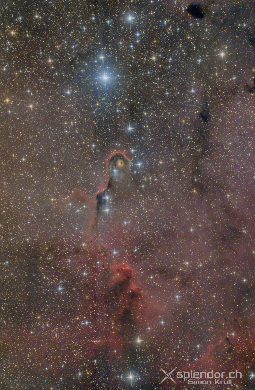 IC1396-Elephant-Trunk-Nebula.jpg